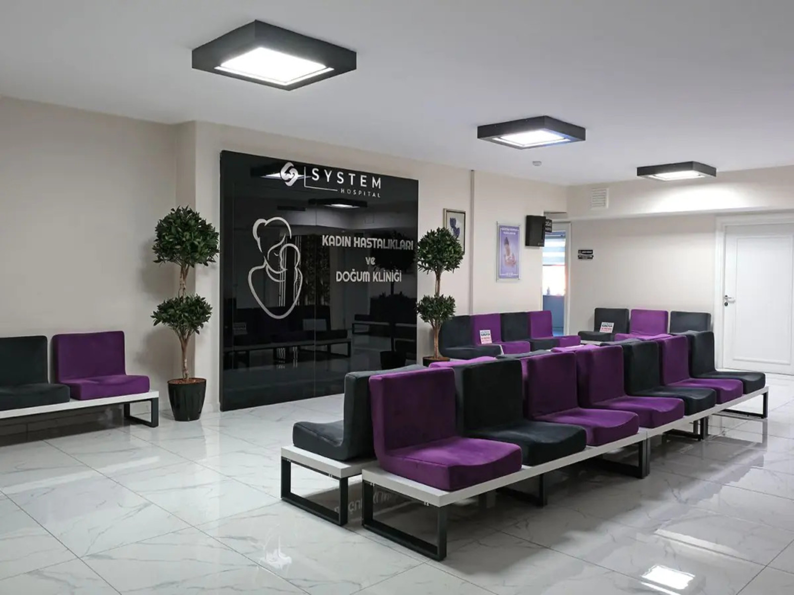 System Hospital