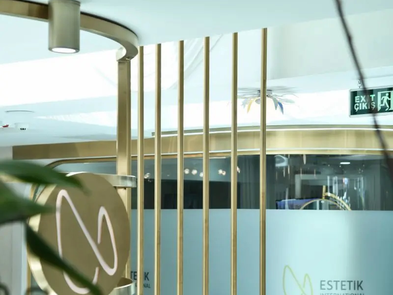 Estetik International