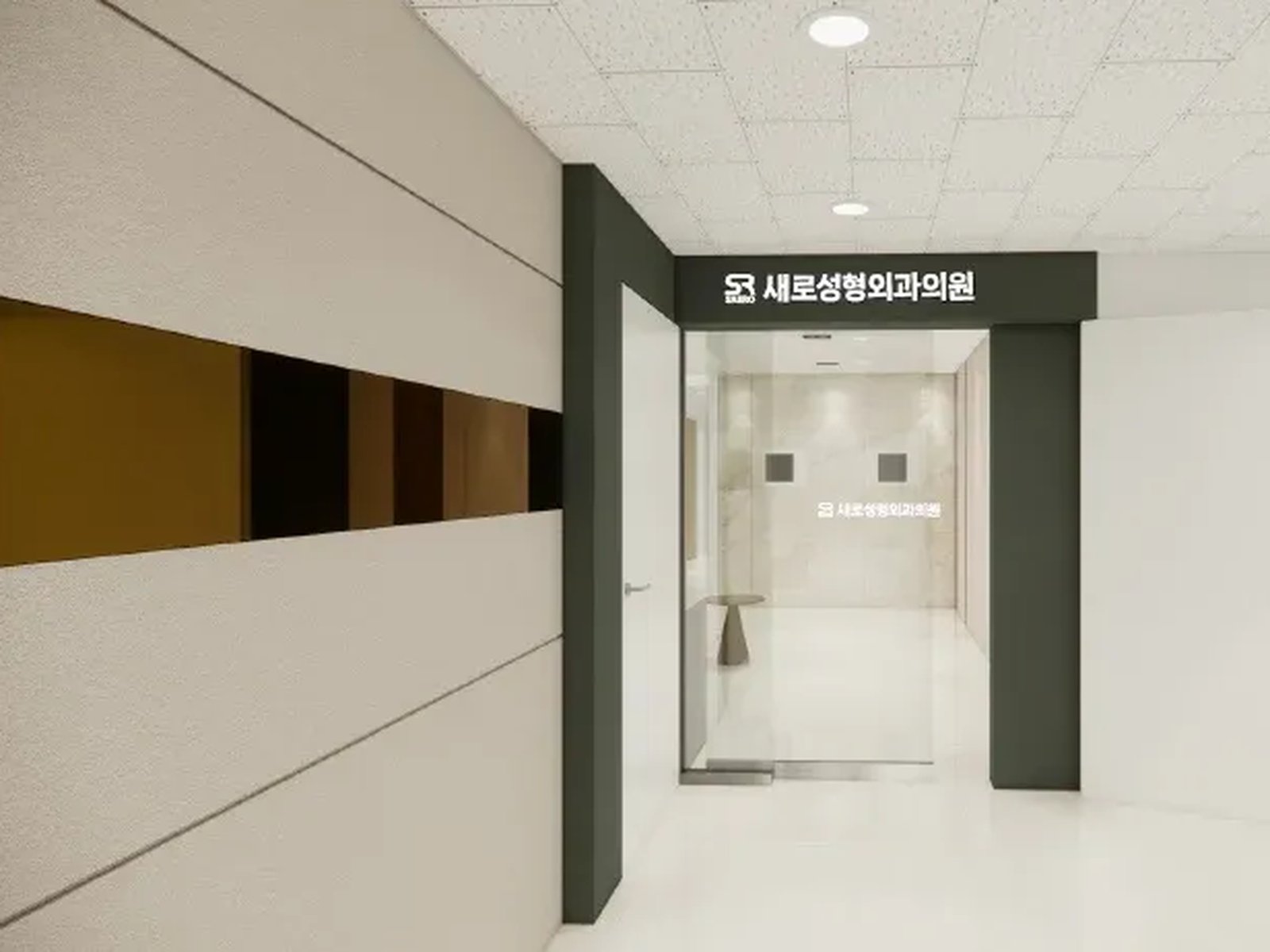 SAERO Plastic Surgery