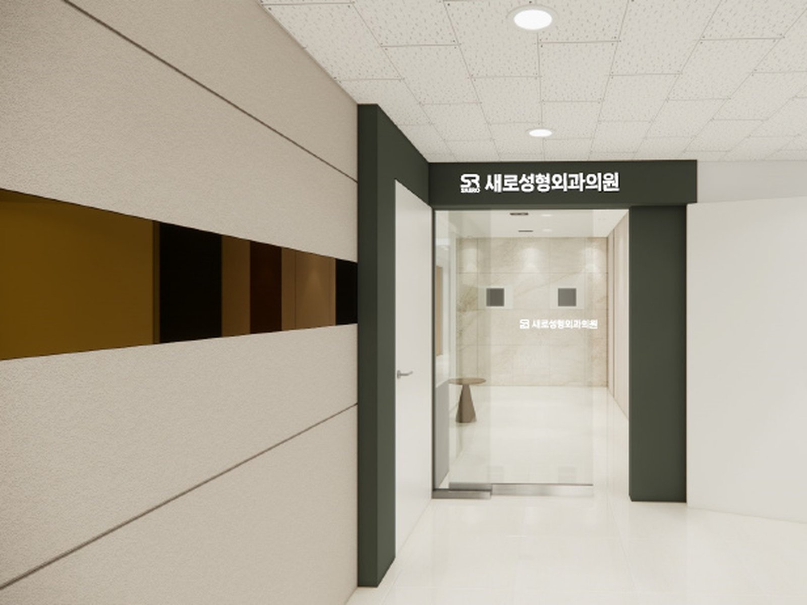 SAERO Plastic Surgery