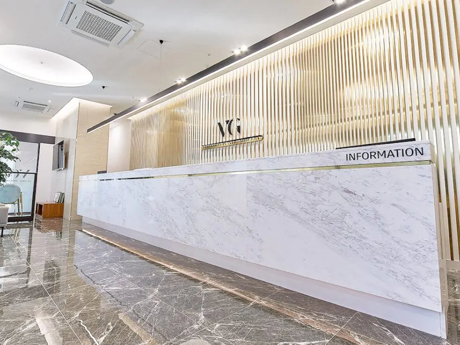 VG Plastic Surgery