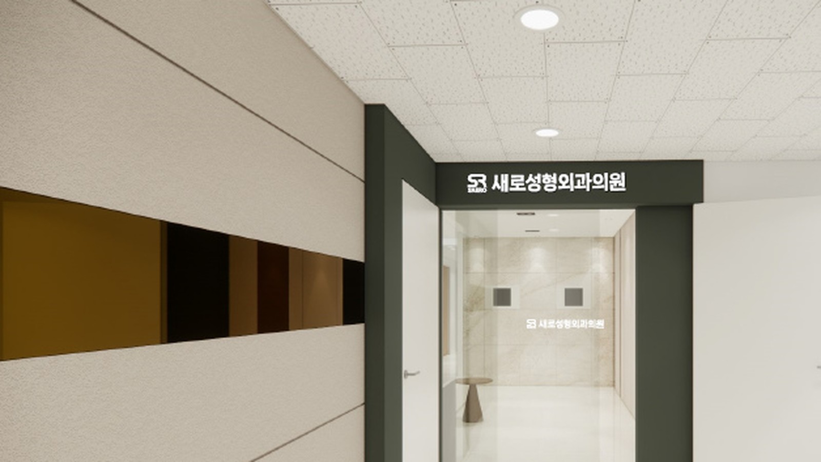 SAERO Plastic Surgery