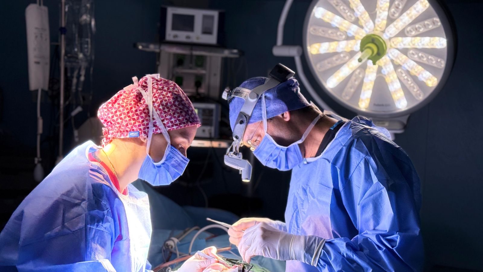 Kidney Transplant